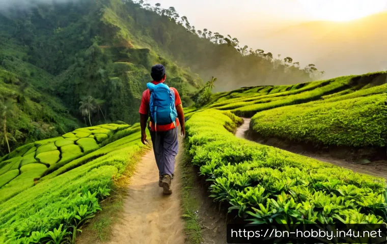 Home 17 트레킹 코스 추천 - Photorealistic sunrise trekking route in the lush green hills of Bangladesh, a clear dirt trail wind...